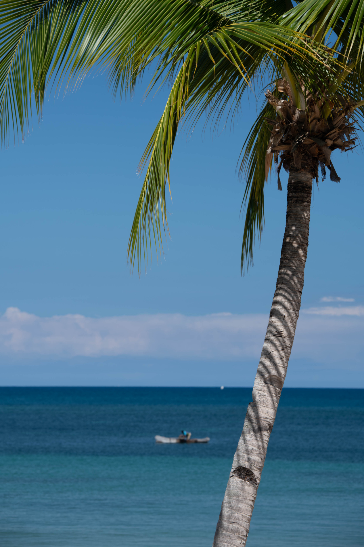 Landscape Nosy Be (16 di 18)