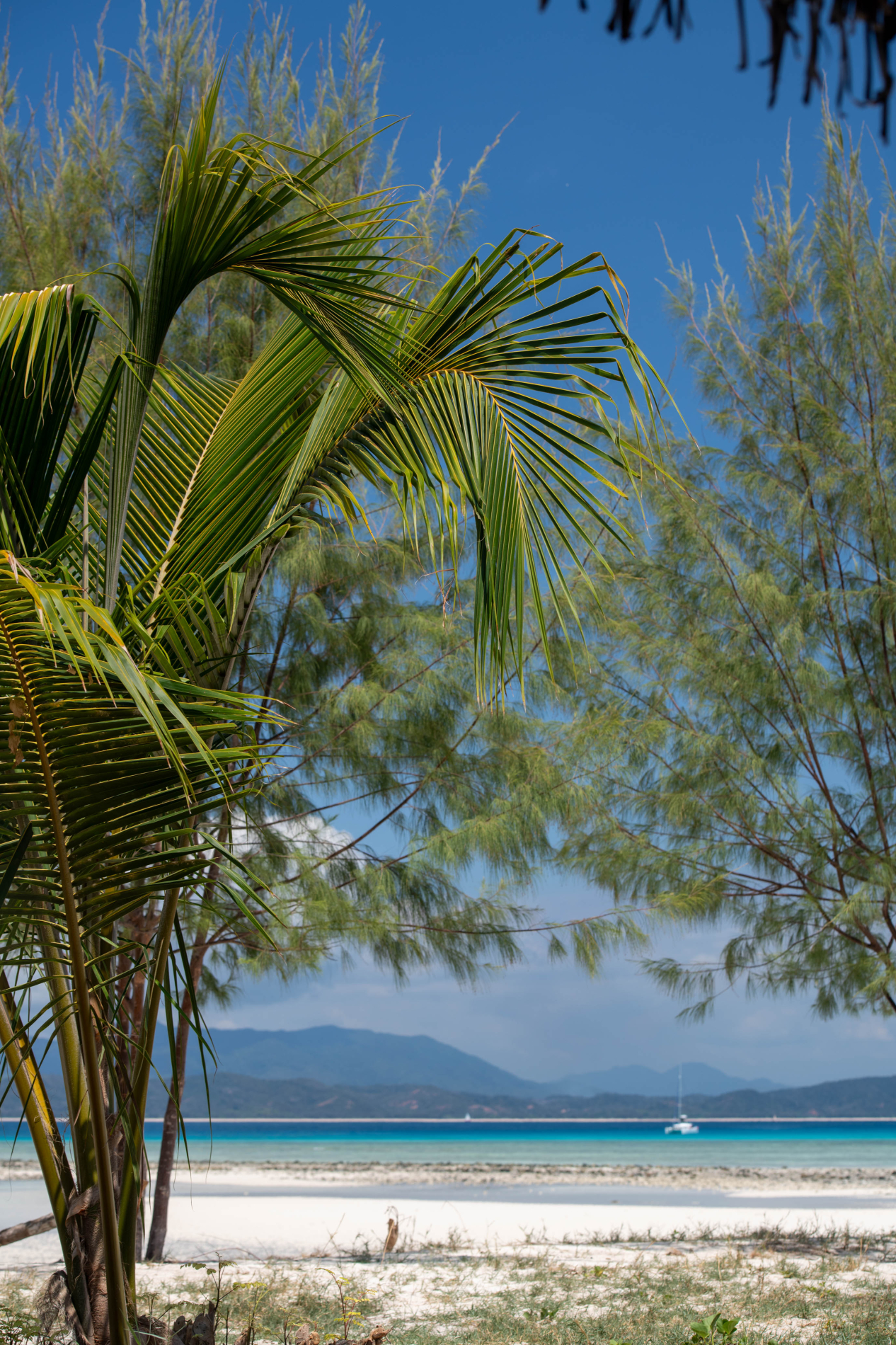 Landscape Nosy Be (5 di 18)