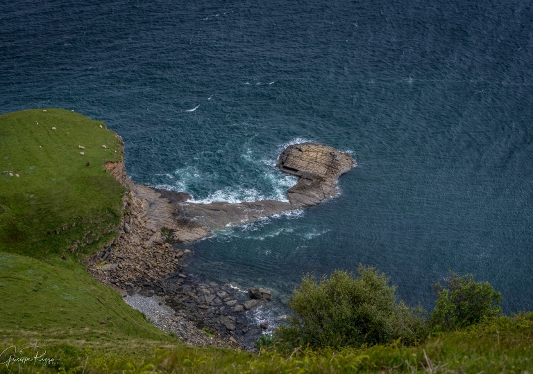 Scottish Landscape  (12)